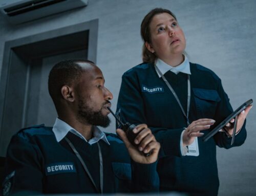 Curiosity Outperforms Cockiness Every Time